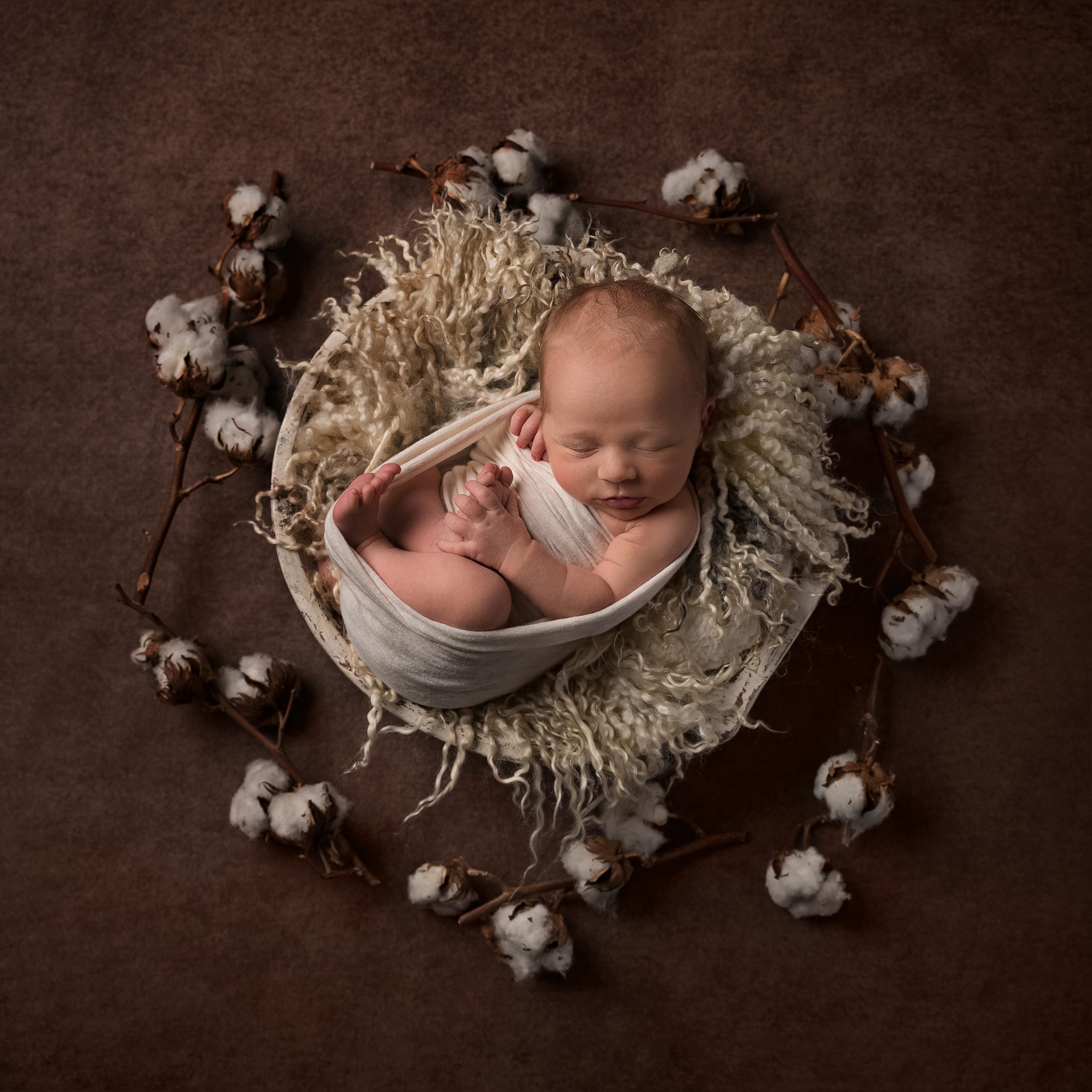 Newborn baby in white bowl with cotton as part of my Master Craftsman in Newborn Photography panel by award winning photographer